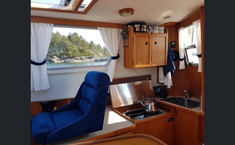 Albatross Flying 871-kuva-5